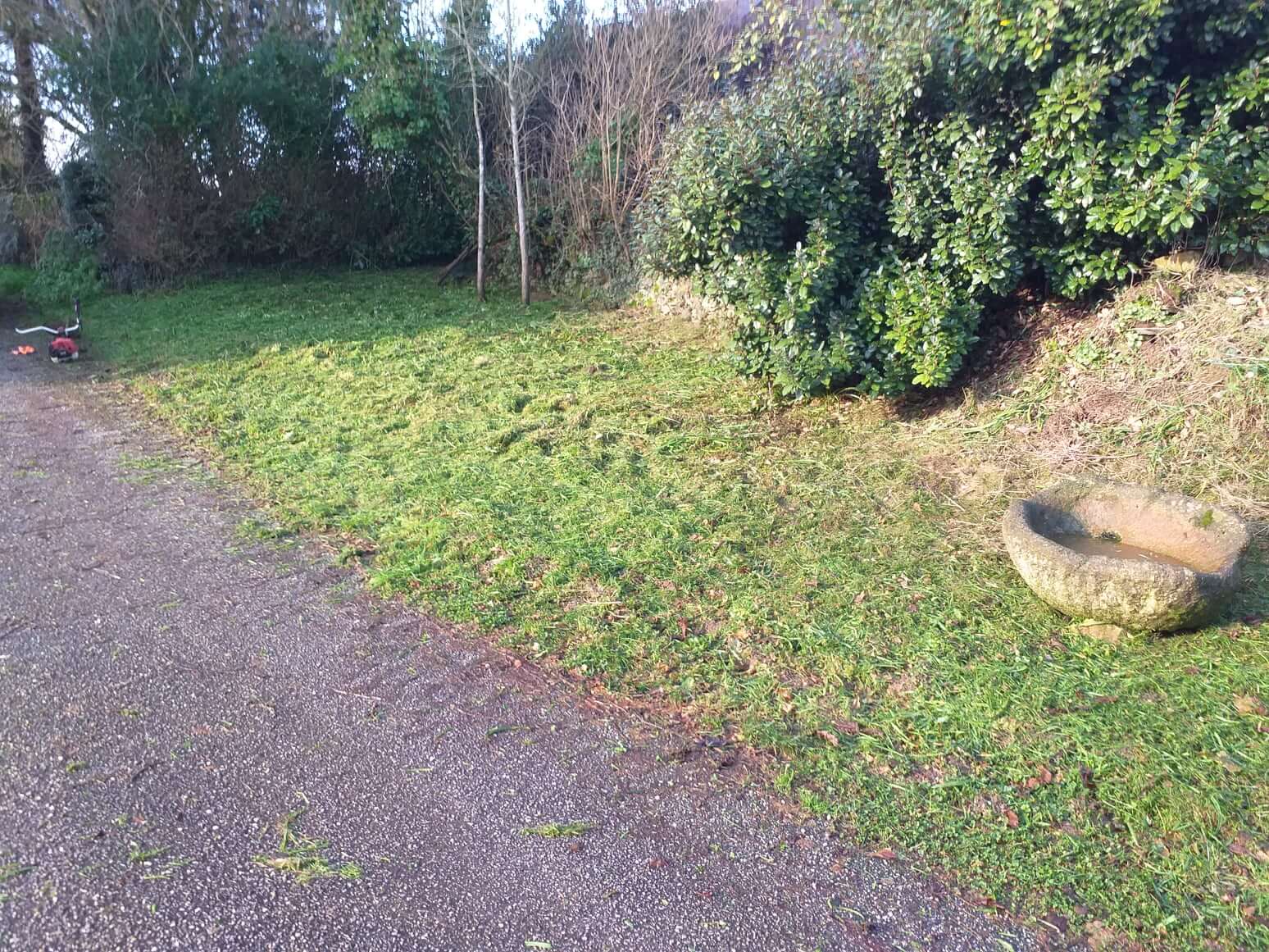 débroussaillage d'un terrain jardinier Bréhand