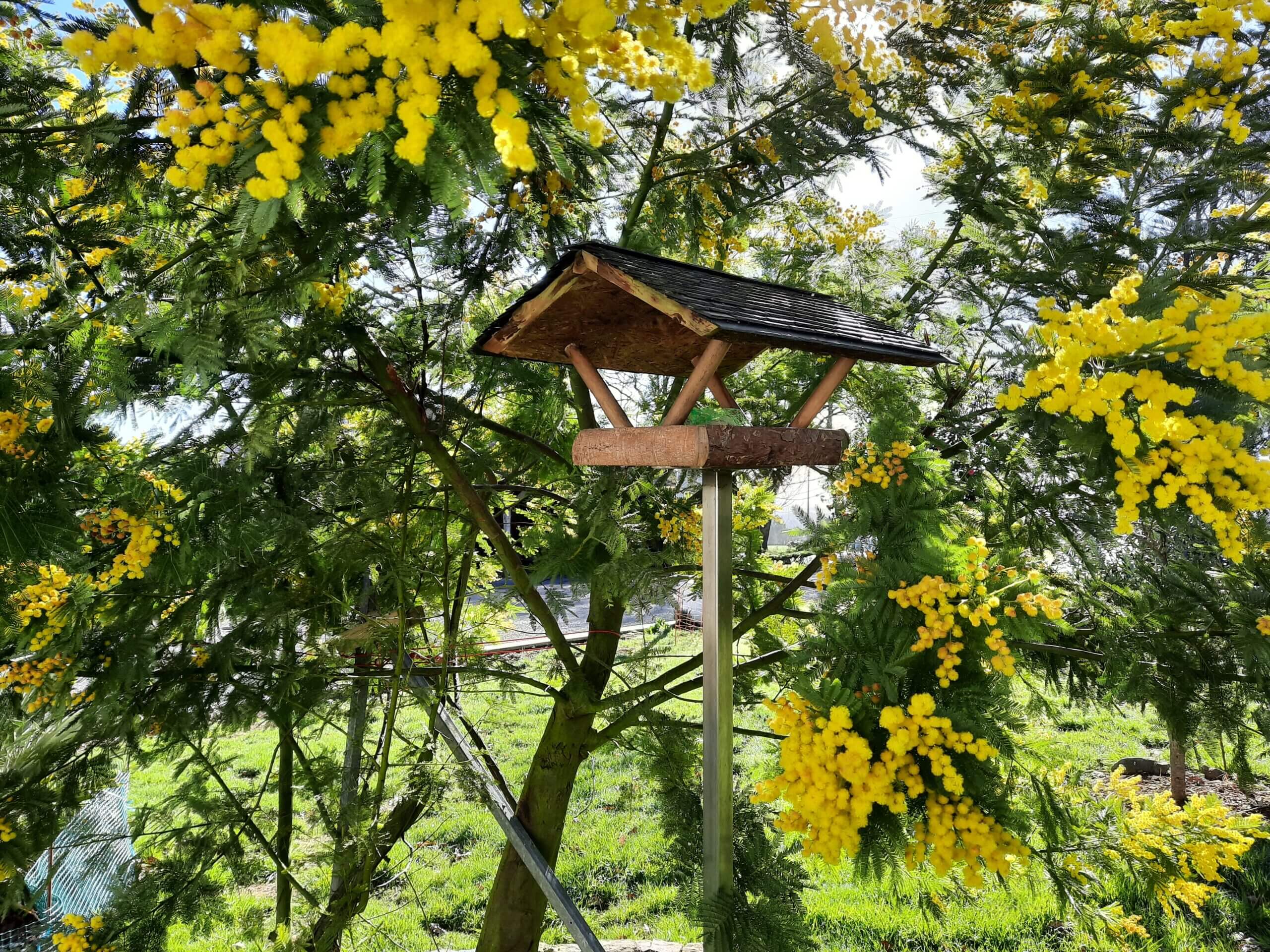 Mangeoire oiseaux artisanale en bois